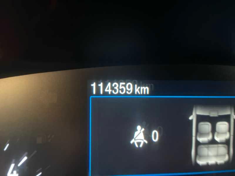 FORD Focus 1.5 ecoblue ST-Line 120cv