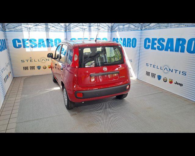 FIAT New Panda 1.0 firefly hybrid s&s 70cv