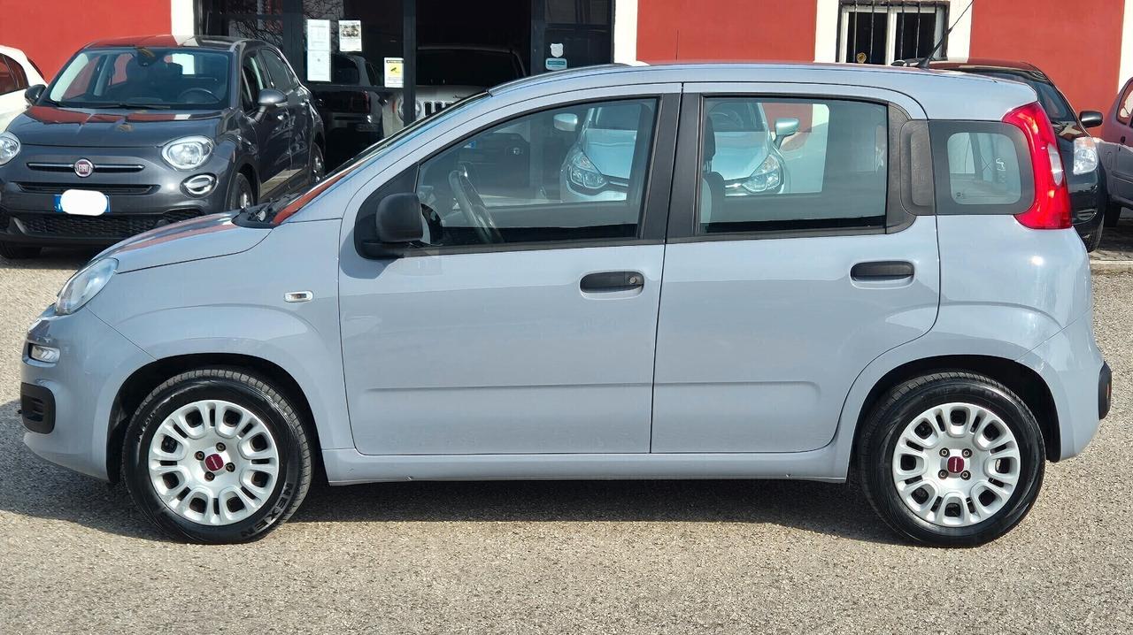 Fiat Panda 1.2 EasyPower Easy GPL casa madre