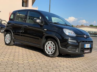 Fiat Panda 1.0 FireFly S&S Hybrid IVA DEDUCIBILE