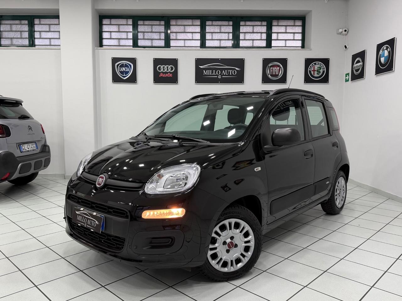 Fiat Panda 1.2cc 69cv Easy GPL DI SERIE