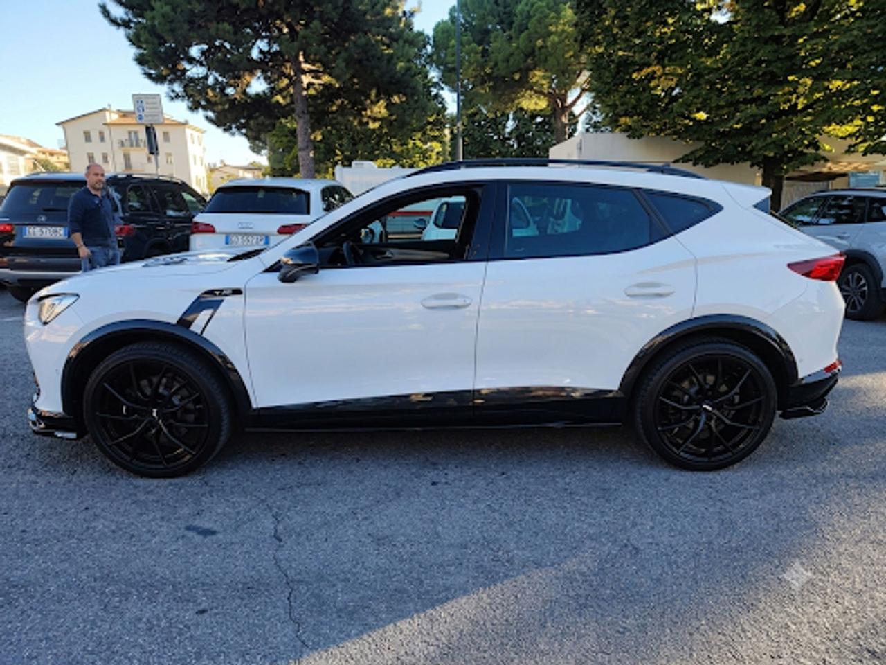 Cupra Formentor BAT 2.0 TSI #50382