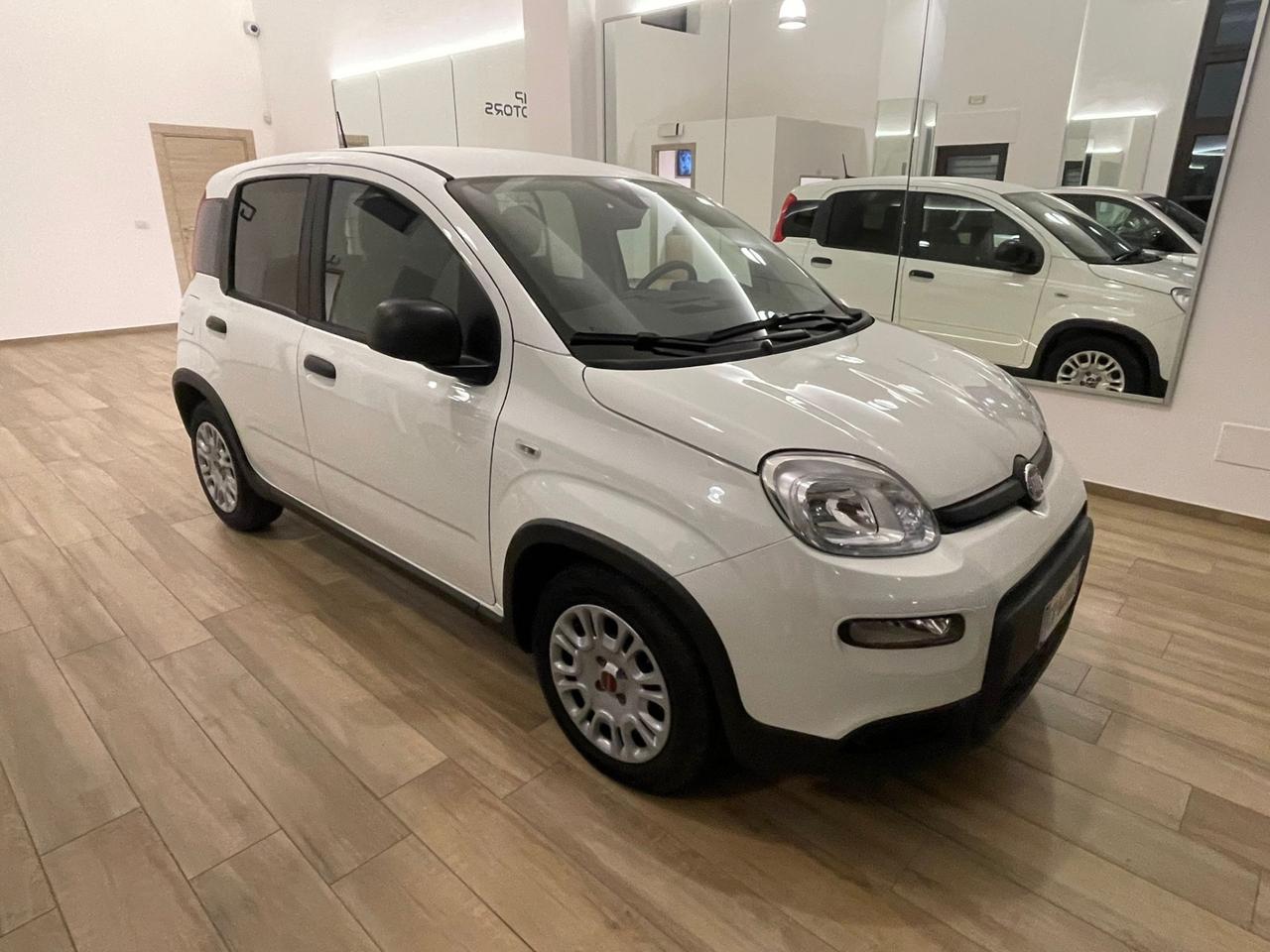 Fiat Panda 1.0 S&S Hybrid Van 2 posti AUTOCARRO