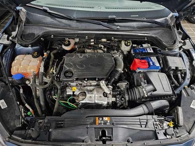 Ford Focus ACTIVE 1.5 TDCi 120CV - TETTO APRIBILE-RETROCAMERA
