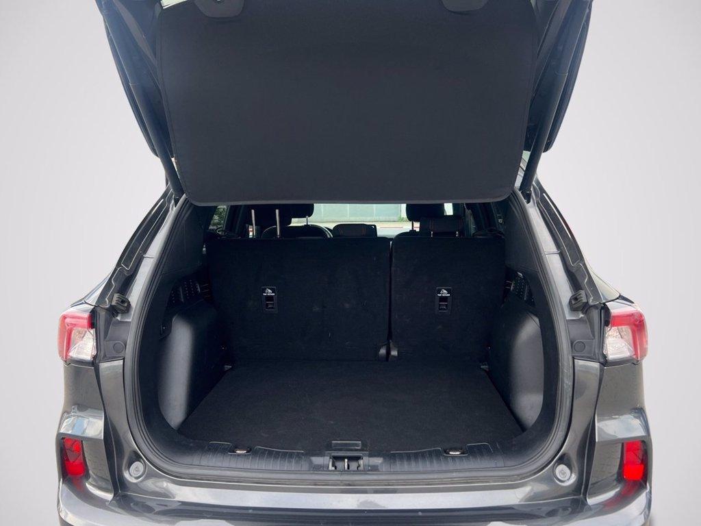 FORD Kuga 1.5 ecoblue ST-Line 2wd 120cv del 2022