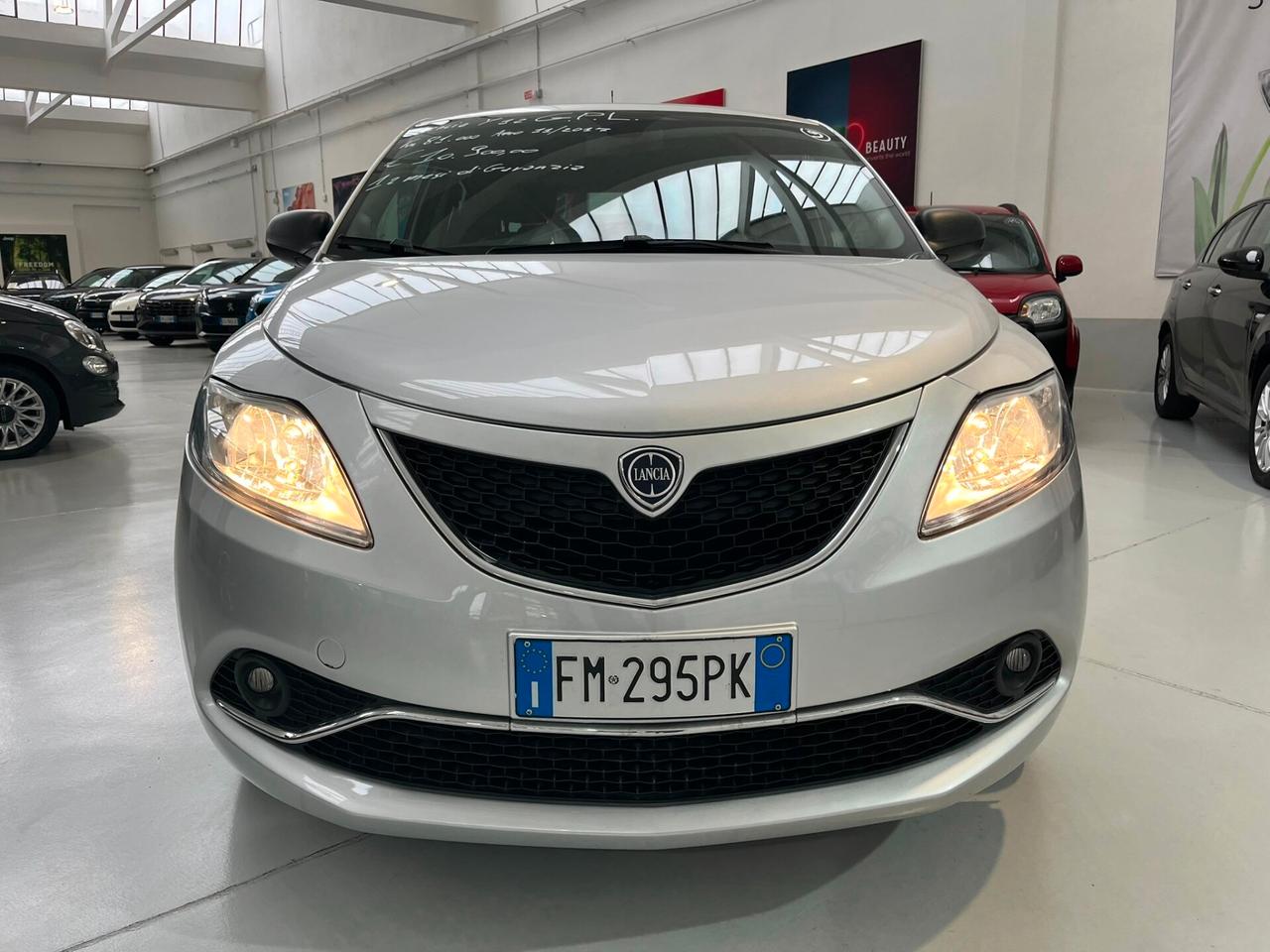 LANCIA Ypsilon 3ª serie Ypsilon 1.2 69 CV 5 po...