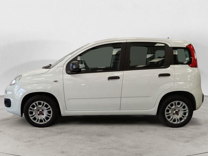 FIAT Panda Panda 1.2 Pop