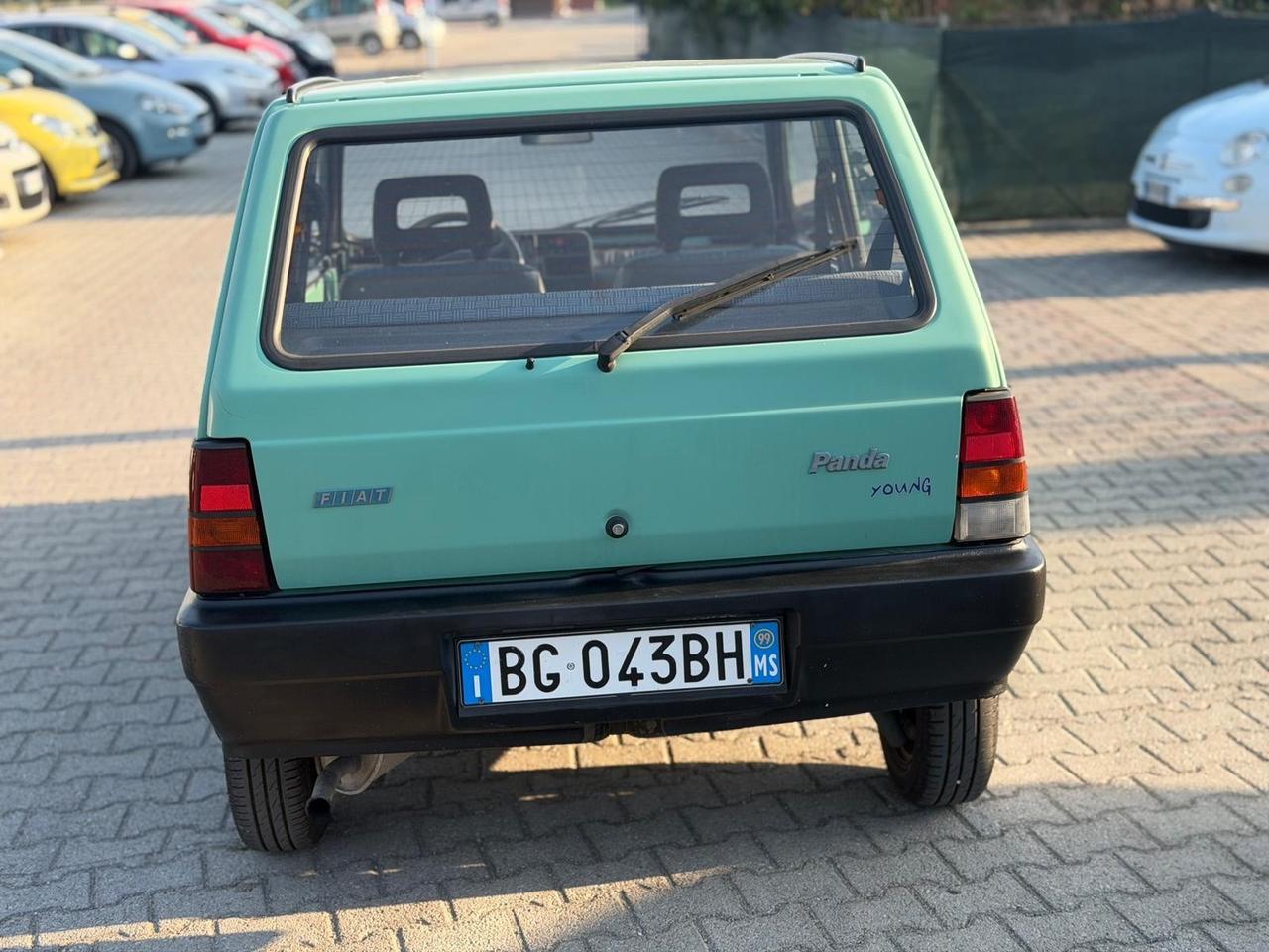 Fiat Panda 900 i.e. cat Young