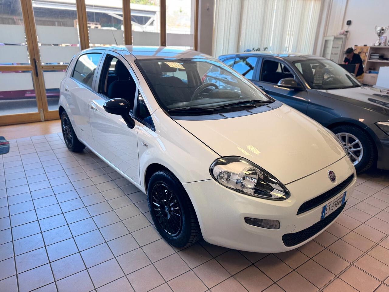 Fiat Punto 1.3 MJT II 75 CV 5 porte Street