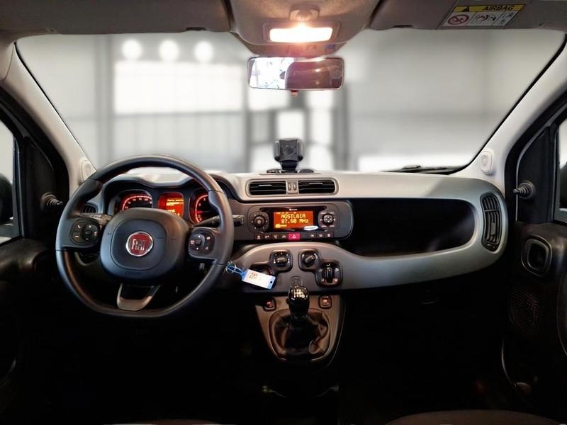 FIAT PANDA 1.0 FireFly 70cv S/S Hybrid City Life 5 PORTE