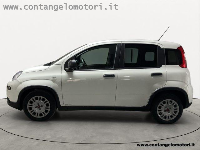 FIAT Panda 1.0 S&S Hybrid Van 2 posti