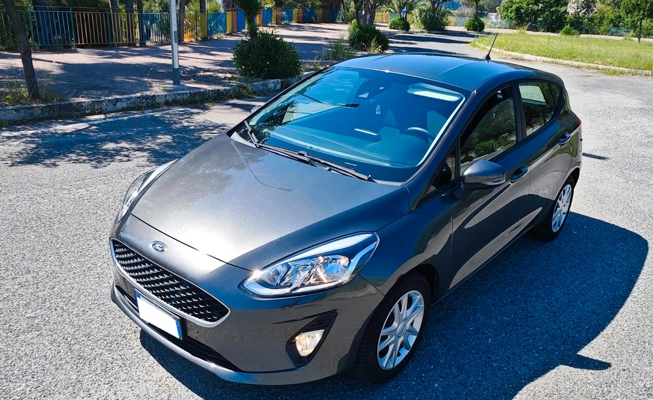 Ford Fiesta 1.1 5 porte Plus