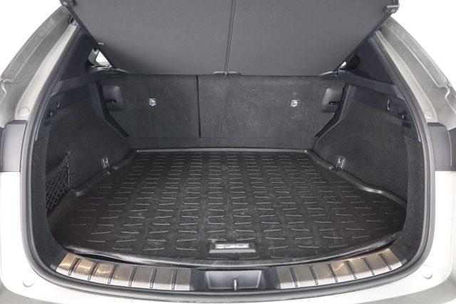 LEXUS Other NX NX Hybrid 4WD F-Sport