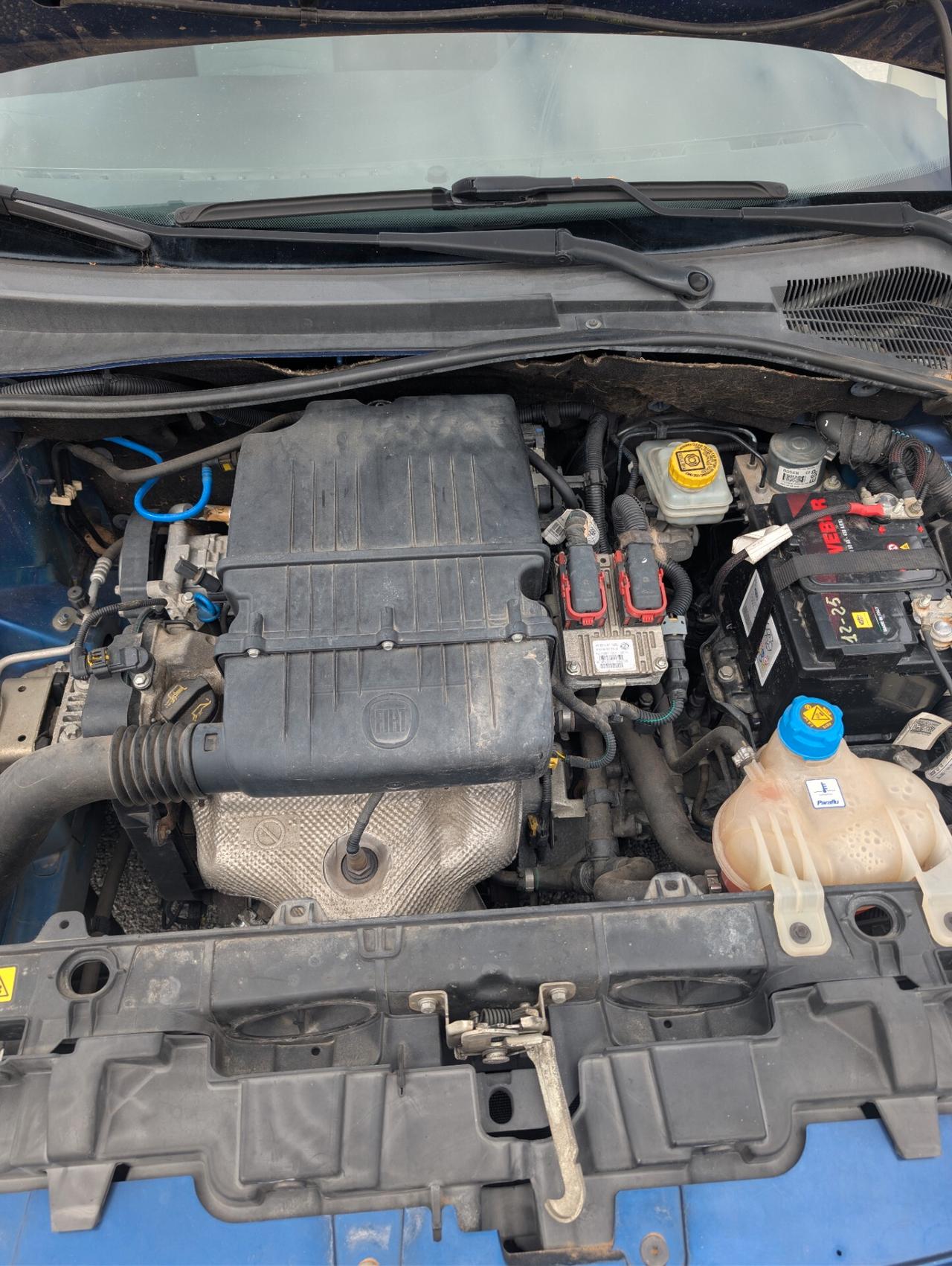Fiat Punto Classic 1.2 5 porte Active