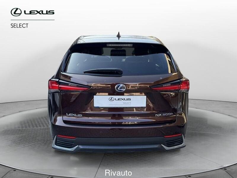 Lexus NX Hybrid 4WD Luxury