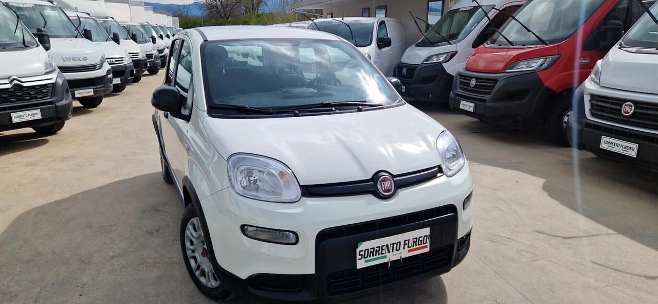 Fiat Panda 1.0 FireFly S&S Hybrid City Life