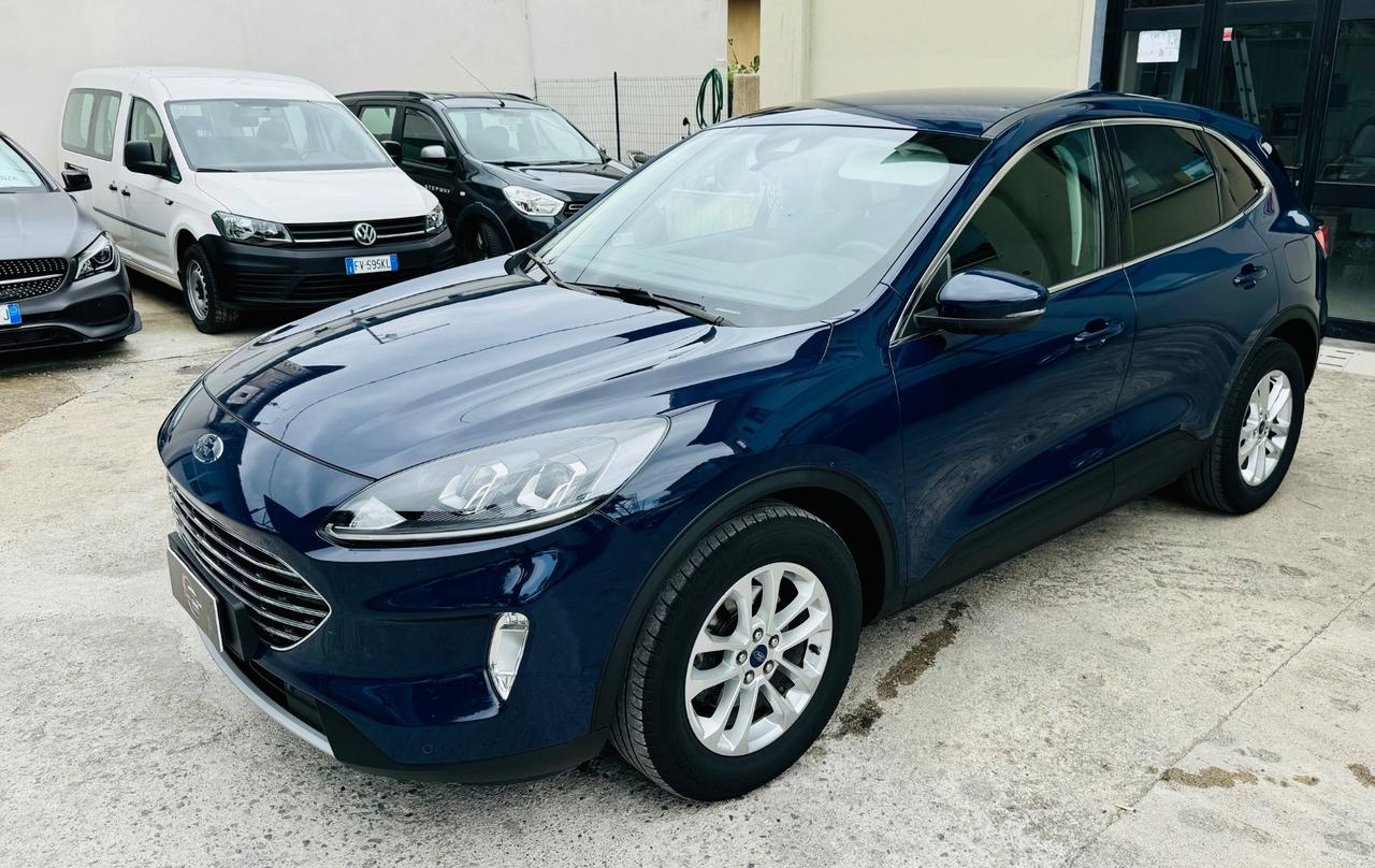 Ford Kuga 1.5 EcoBlue 120 CV aut. 2WD Titanium Business