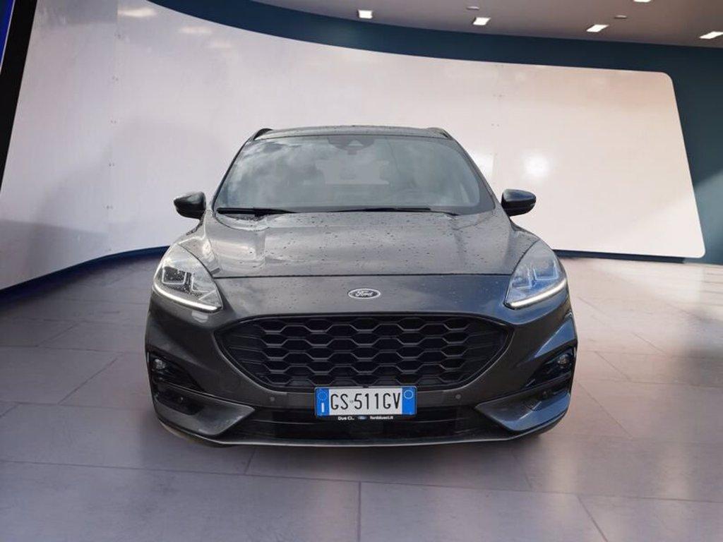 FORD Kuga 2.0 EcoBlue 120 CV aut. 2WD ST-Line del 2024