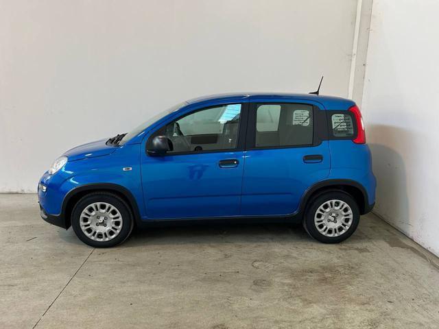 FIAT Panda 1.0 FireFly S&S Hybrid PREZZO VERO