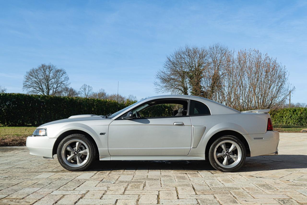 Ford Mustang GT V8 SRS - RDS01942