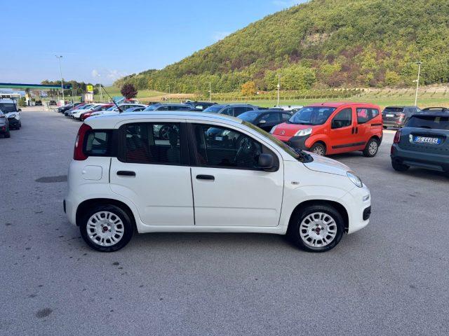 FIAT Panda 1.2 Benzina 4 cilindri OK NEOPATENTATI