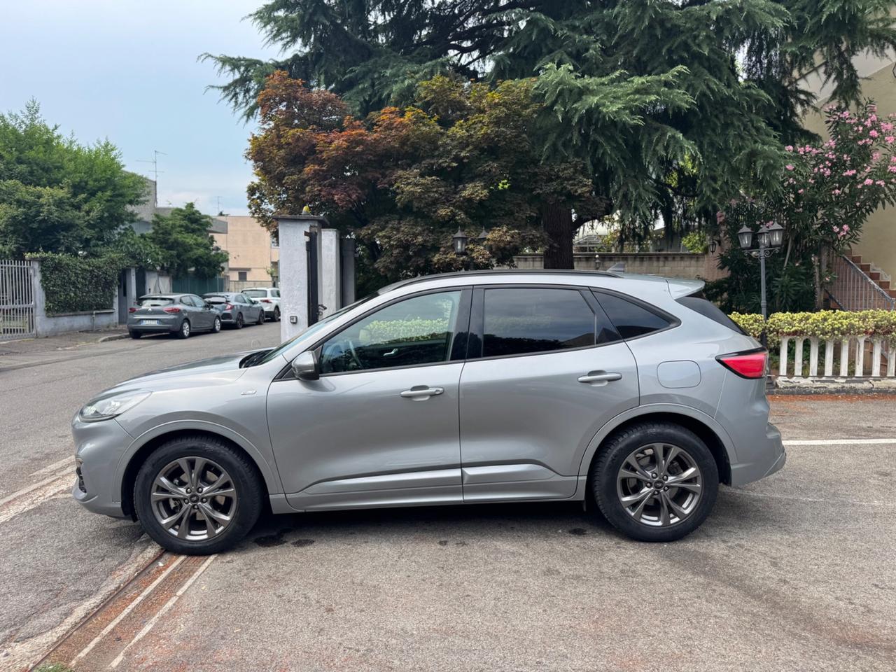 Ford Kuga 1.5 EcoBlue 120 CV aut. 2WD ST-Line Design