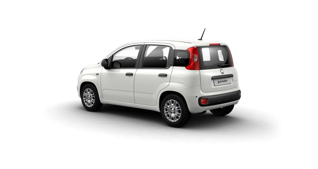 FIAT Pandina Pandina 1.0 FireFly 65 CV Hybrid Icon