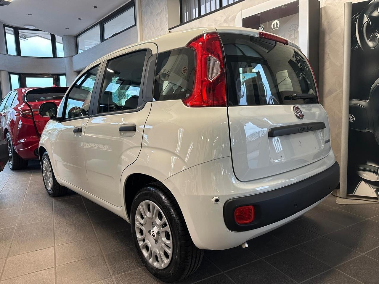 FIAT Panda 3ª serie Panda 1.0 FireFly S&S Hybr...