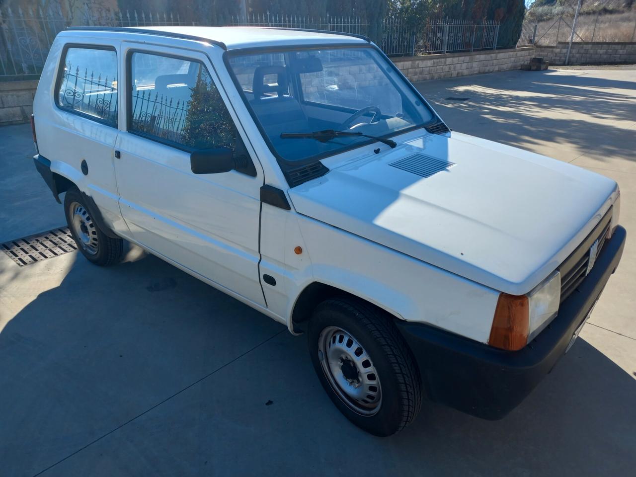 Fiat Panda 900 i.e. cat Young