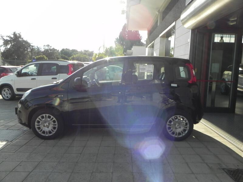 Fiat Panda NEW MY 25 1.0 FireFly S&S Hybrid 70 cv