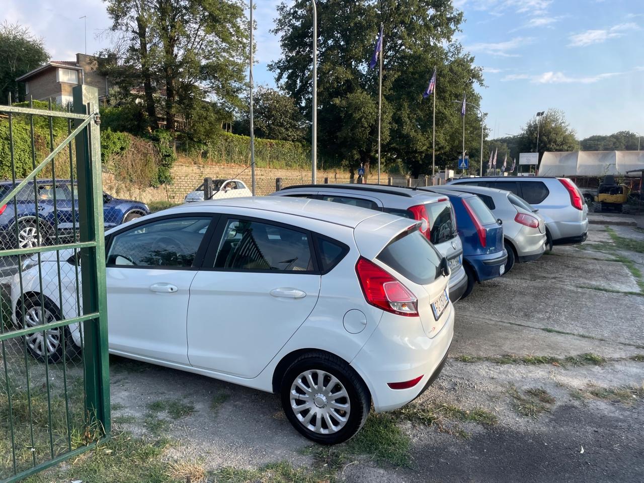 Ford Fiesta 1.5 TDCi 75CV 5 porte ST-Line