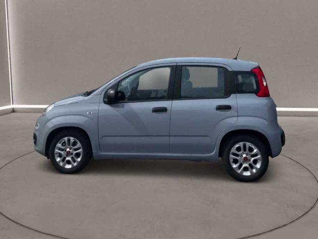 FIAT Panda 3ª serie - 1.0 FireFly S&S Hybrid