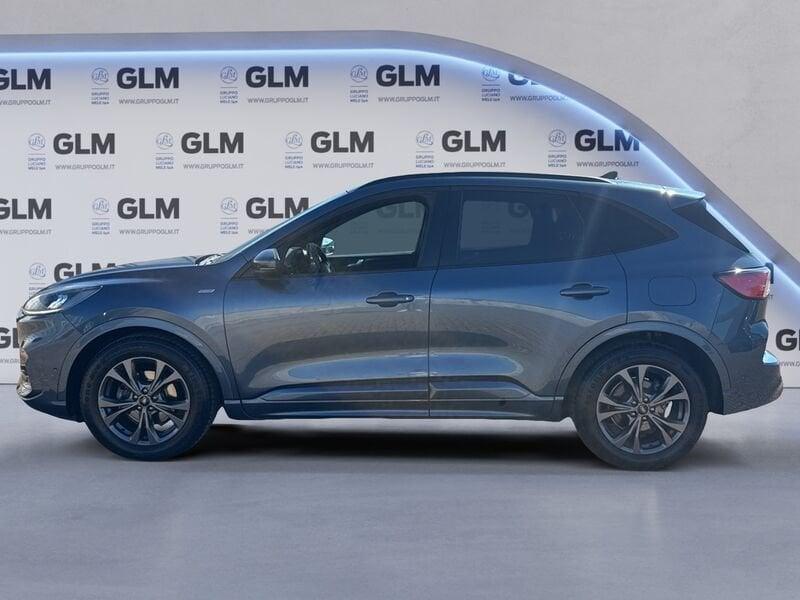 Ford Kuga Kuga 1.5 EcoBoost 150 CV S&S 2WD ST-Line