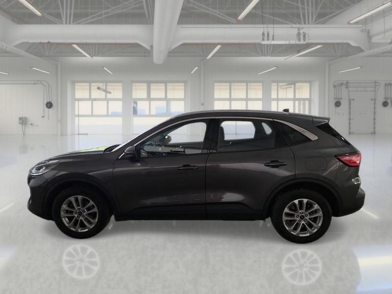 FORD KUGA 1.5 ECOBLUE 120 CV 2WD TITANIUM BUSINESS AUTO SUV