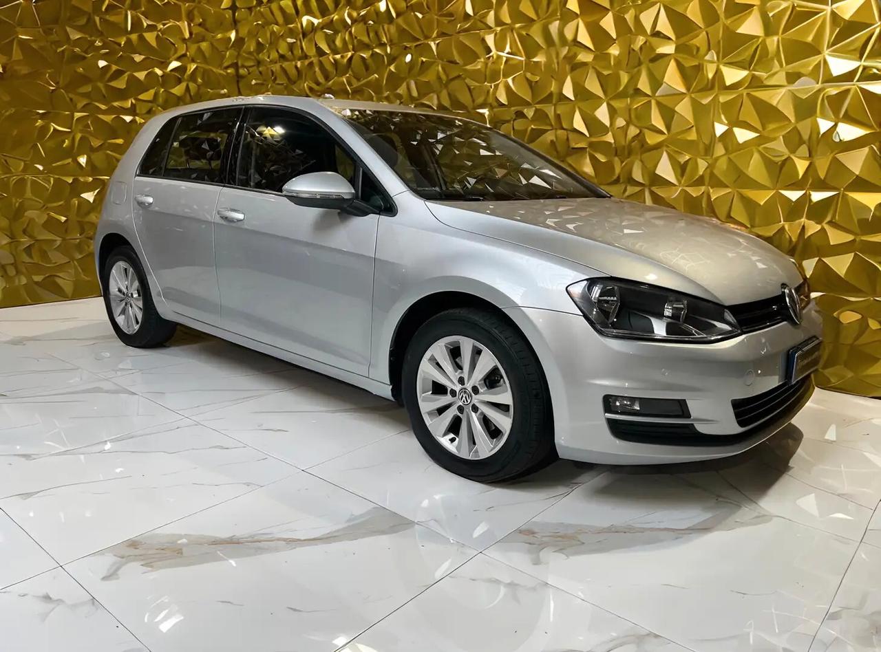Volkswagen Golf 1.6 TDI 110 CV 5p. Executive BlueMotion Technology