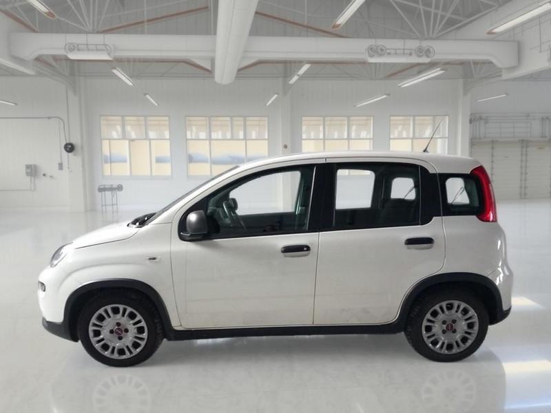 FIAT PANDA 1.0 FireFly 70cv S/S Hybrid 5 PORTE