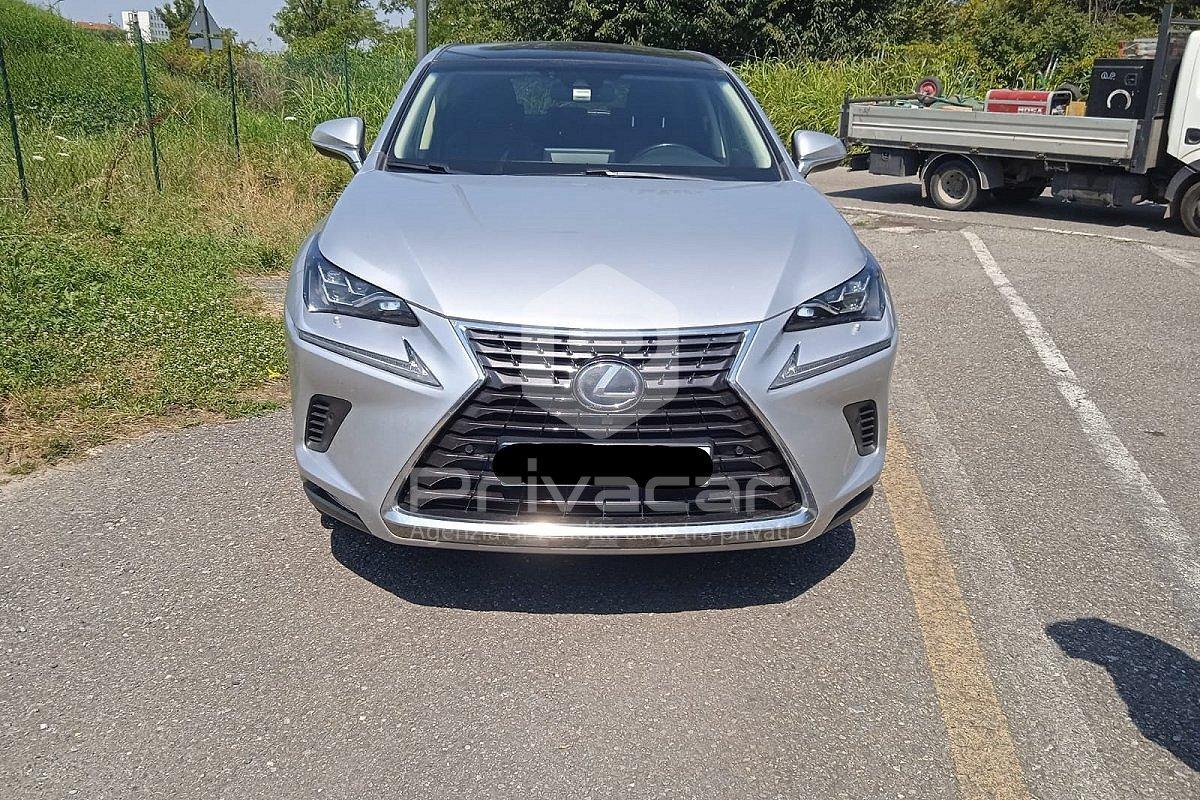 LEXUS NX Hybrid 4WD Luxury