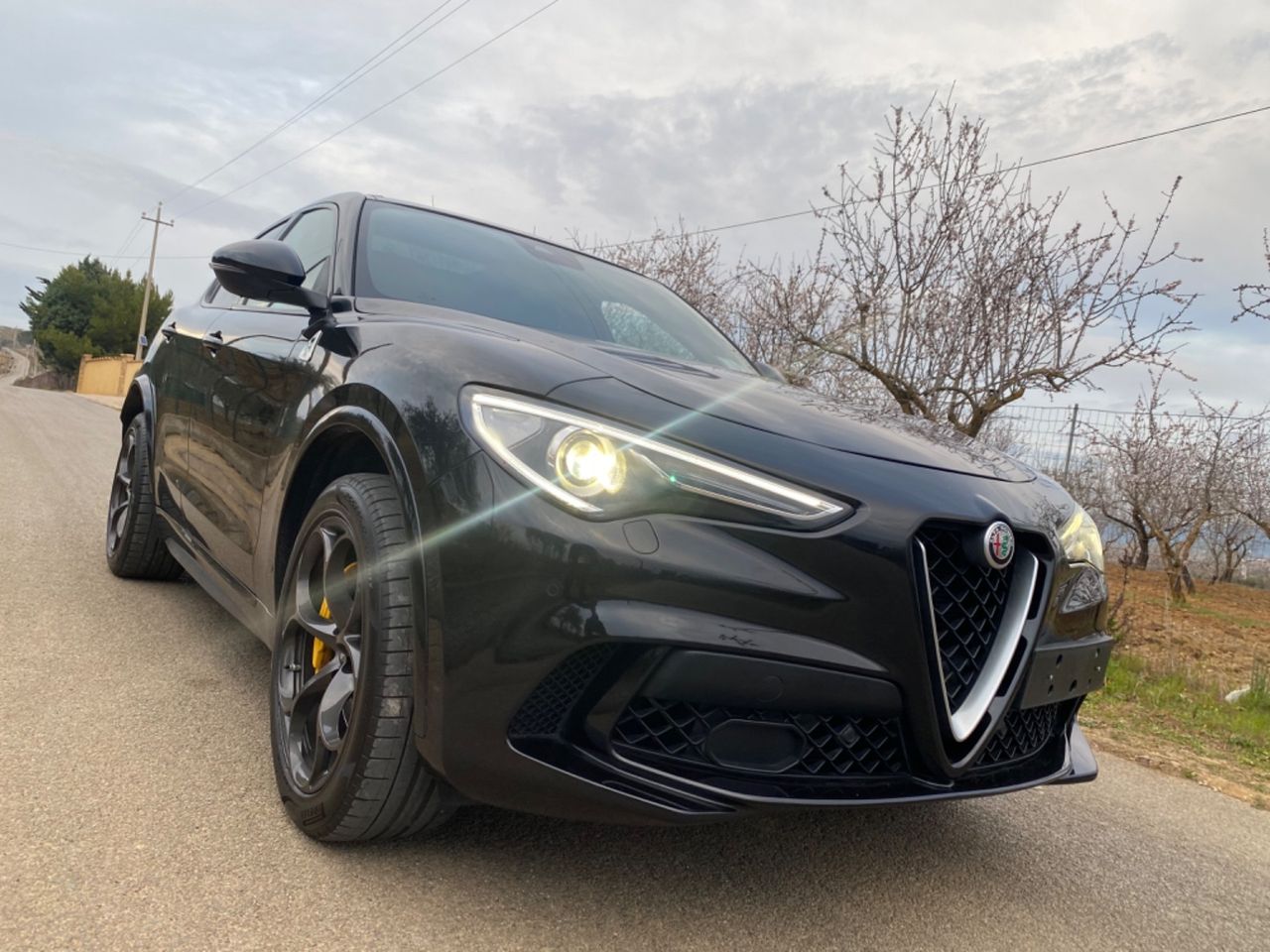 Stelvio Bi-Turbo V6 510CV QUADRIFOGLIO TETTO/CARBON2019