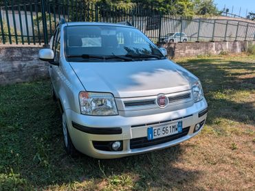 Fiat Panda 1.2 Dynamic OK NEOPATENTATI