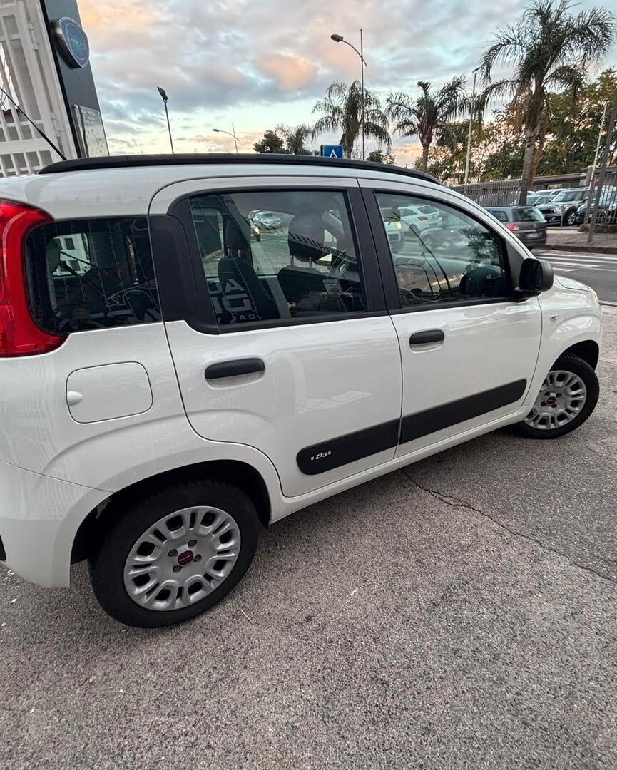 Fiat Panda 1.2 Lounge