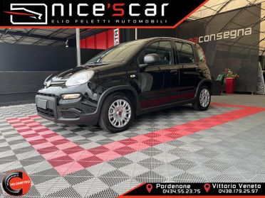FIAT Panda Panda 1.0 FireFly S&S Hybrid*PROMO*