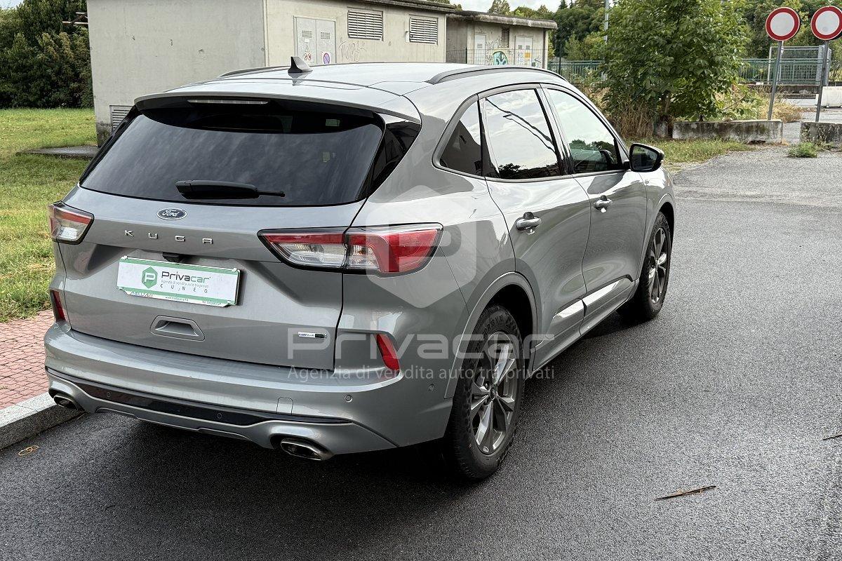 FORD Kuga 2.0 EcoBlue Hybrid 150 CV 2WD ST-Line