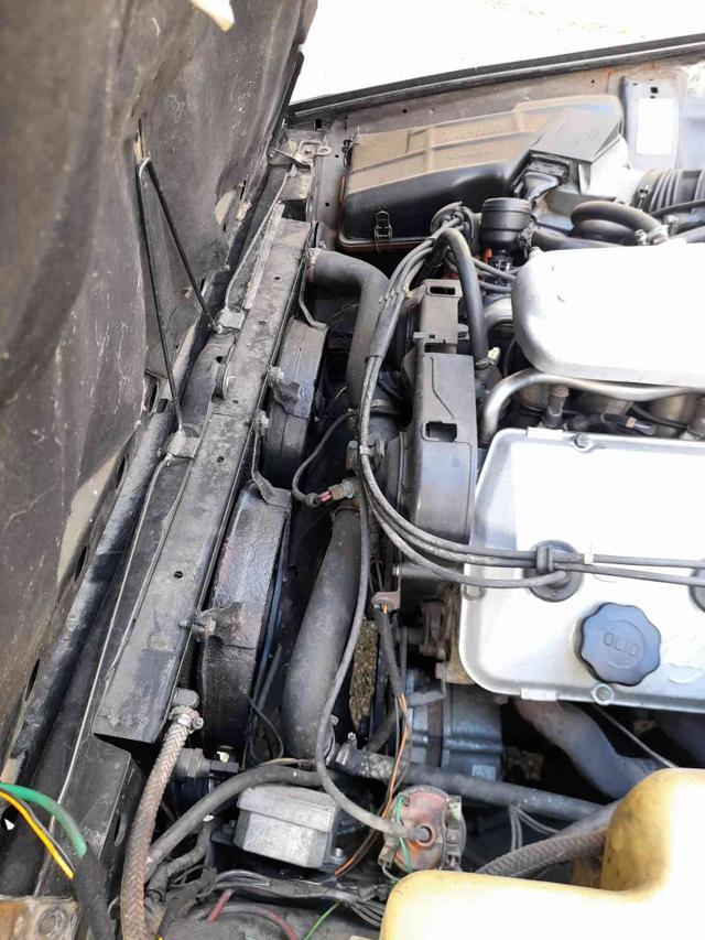 ALFA ROMEO GTV 2.5i V6 BUSSO