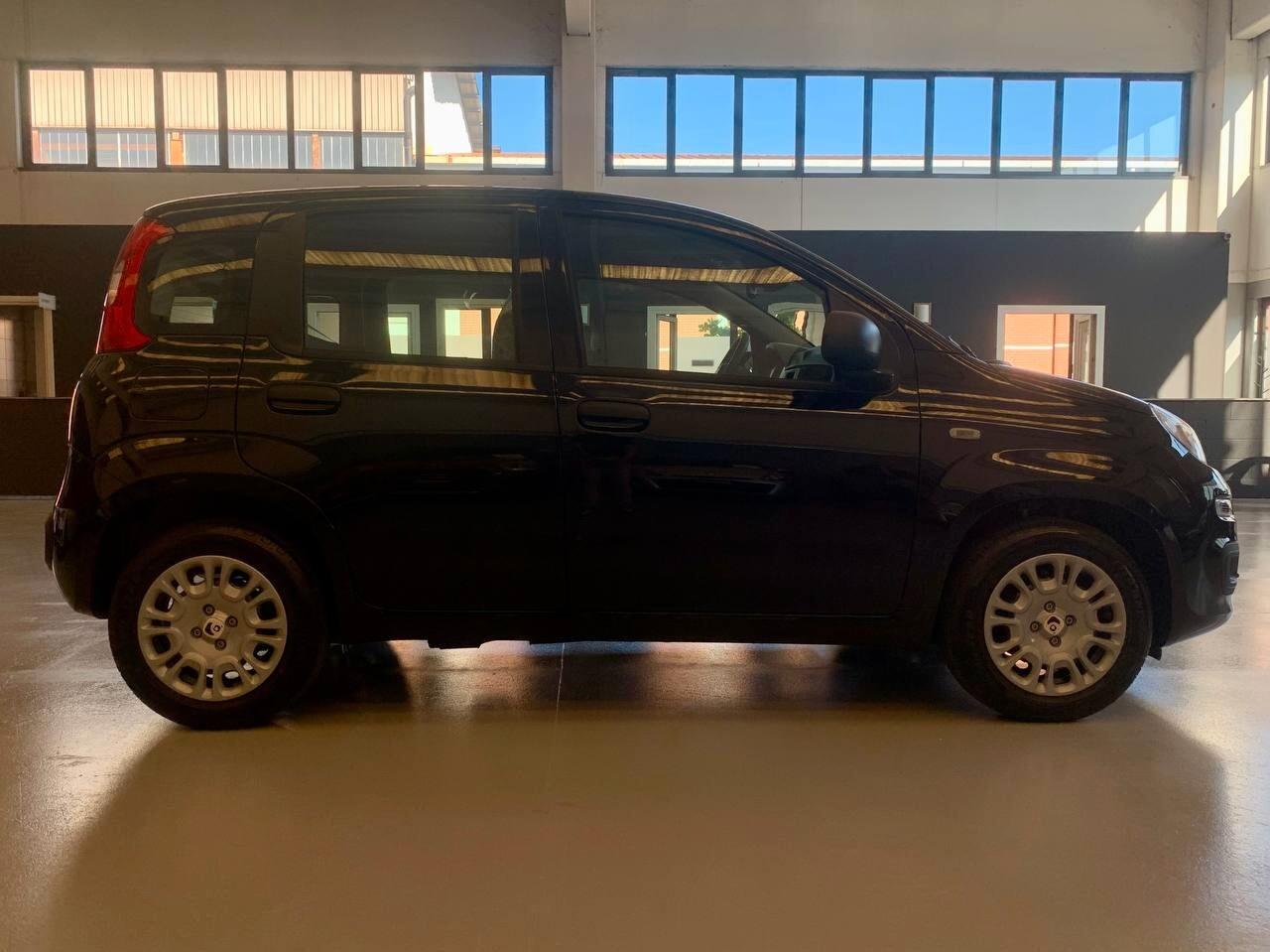 Fiat Panda 1.0 FireFly S&S Hybrid *PREZZO PROMO*