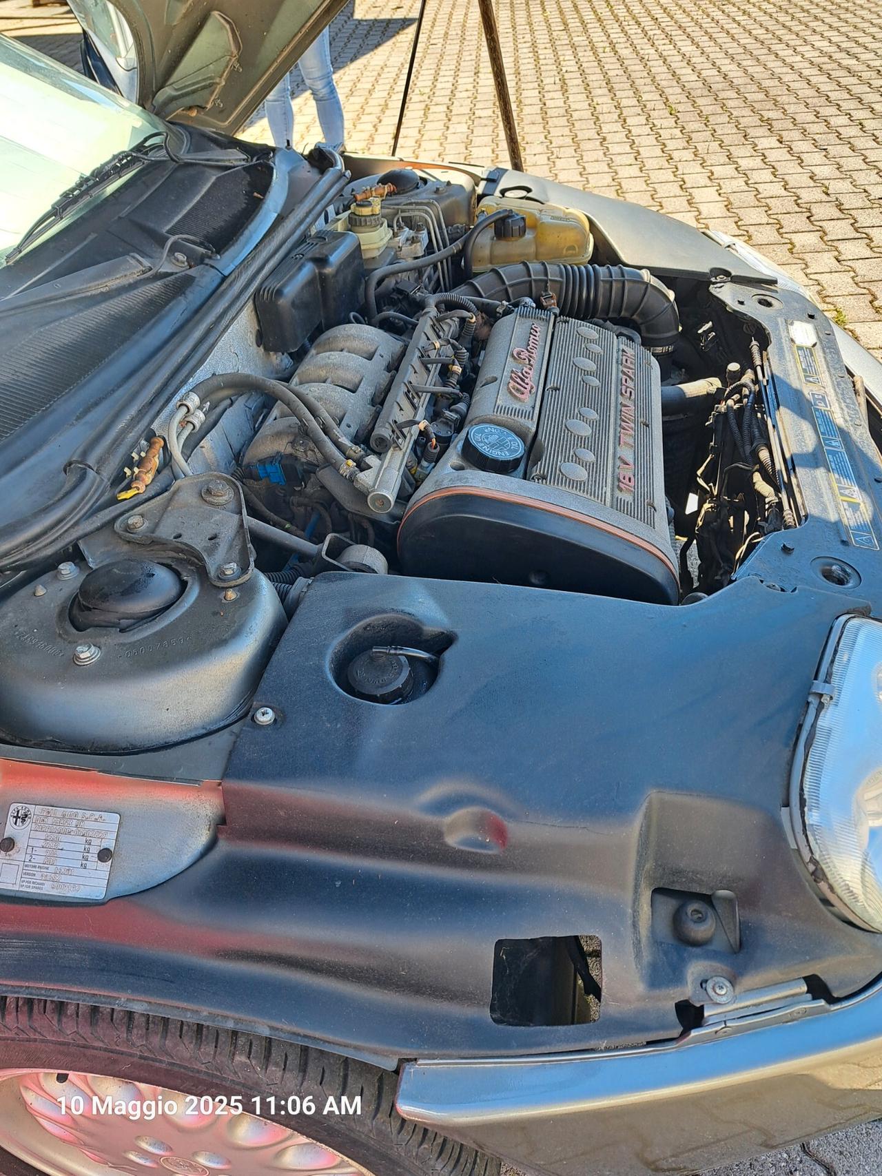 Alfa Romeo Spider Gtv spider
