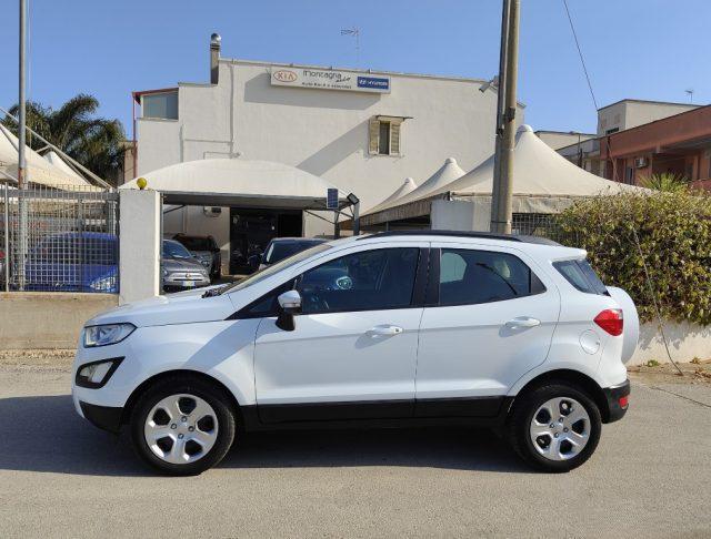 FORD EcoSport 1.5 Ecoblue 100 CV Business