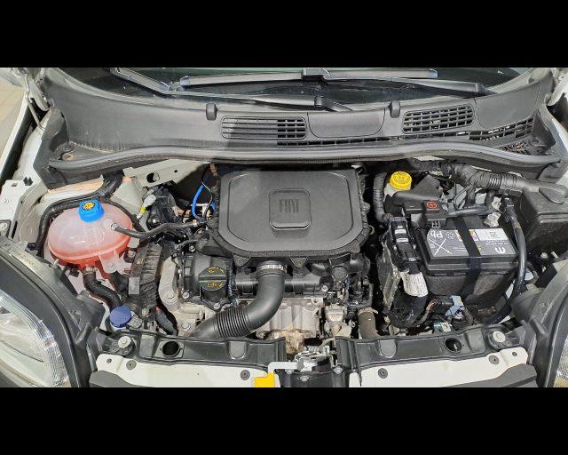 FIAT New Panda 1.0 firefly hybrid Cross s&s 70cv 5p.ti
