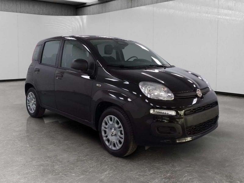 FIAT Pandina 1.0 firefly hybrid Icon s&s 70cv 5p.ti