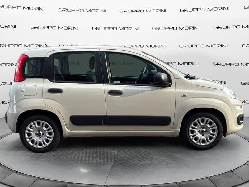 FIAT Panda Panda 1.2 Easy easypower Gpl 69cv