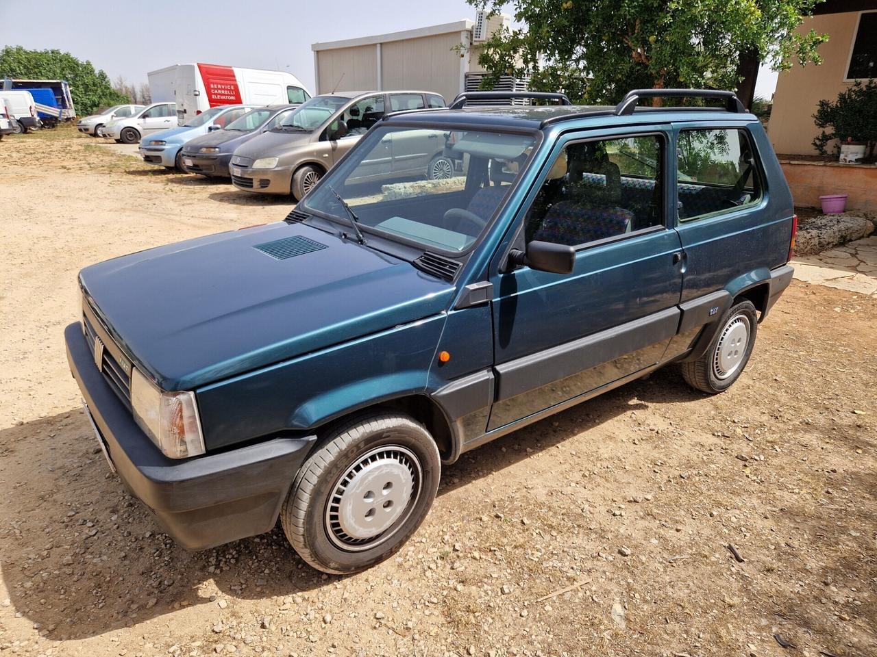 Fiat Panda 900 i.e. cat Young